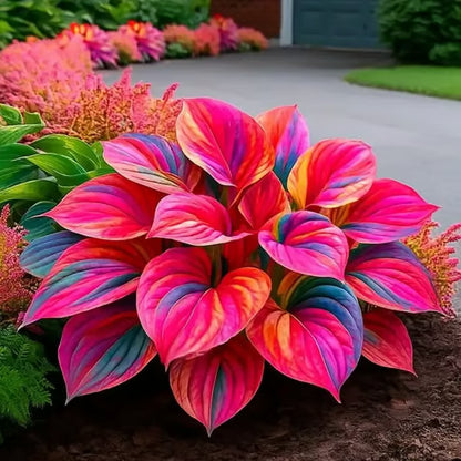 Premium Rare Hosta Seeds🌿Shade-Tolerant Plant
