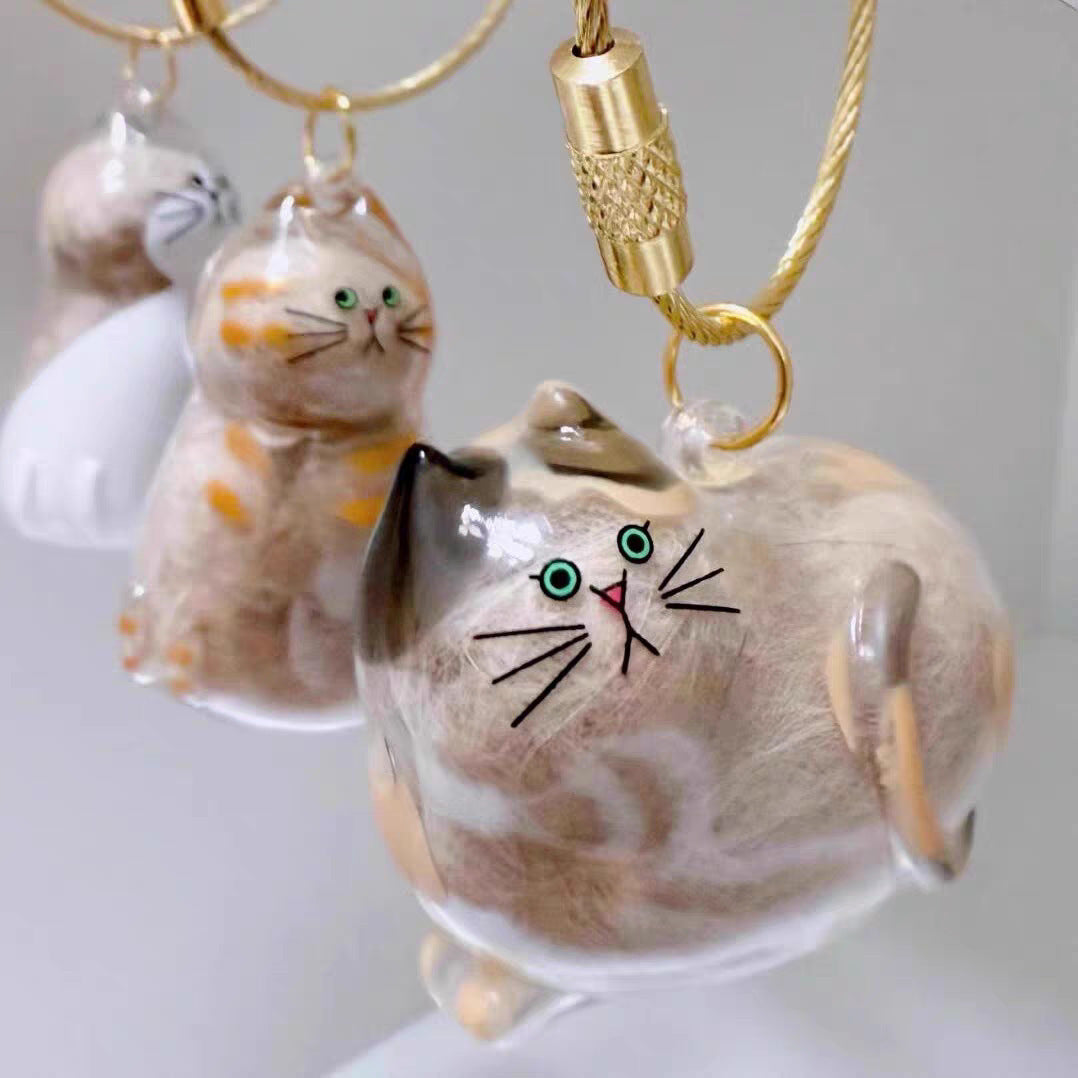 Storage Transparent Cat Hair