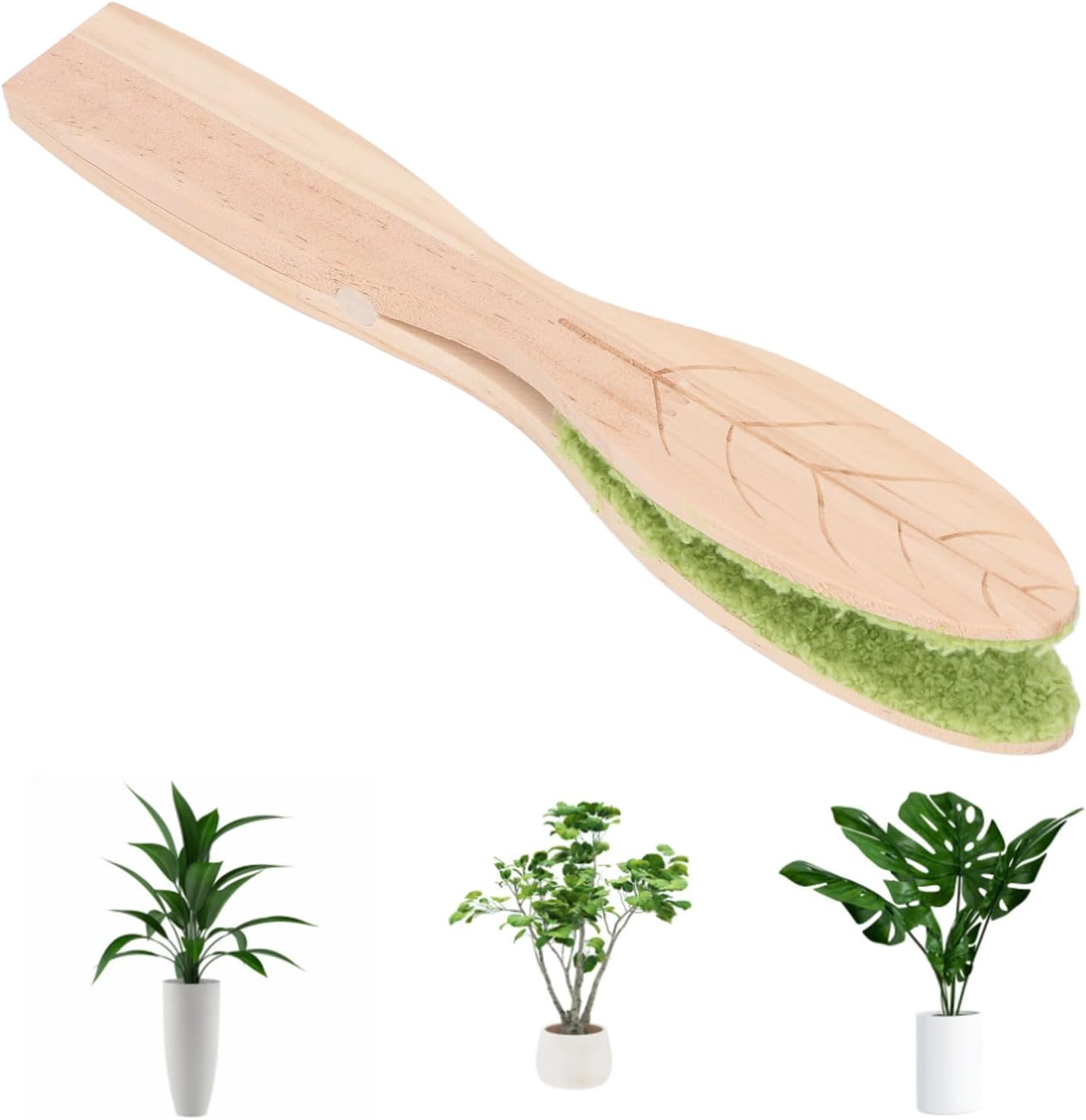 Cleaning Brush Plants