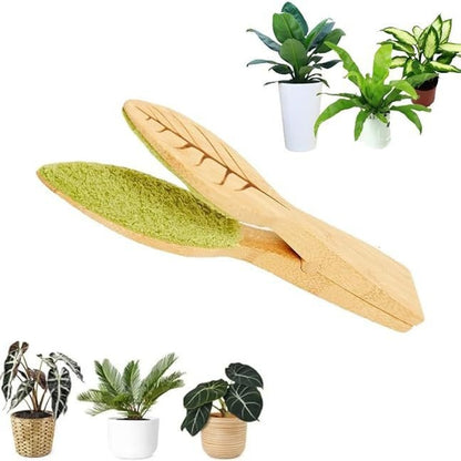 Cleaning Brush Plants