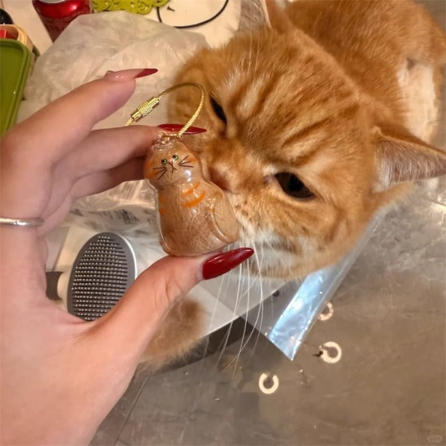 Storage Transparent Cat Hair