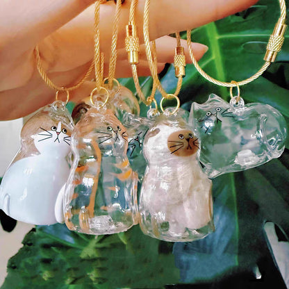 Storage Transparent Cat Hair