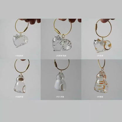 Storage Transparent Cat Hair