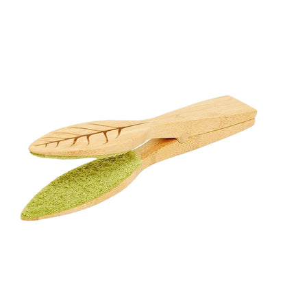 Cleaning Brush Plants