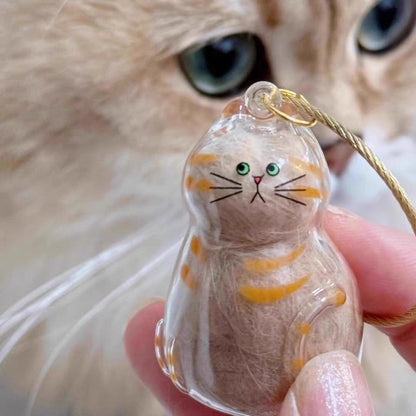 Storage Transparent Cat Hair