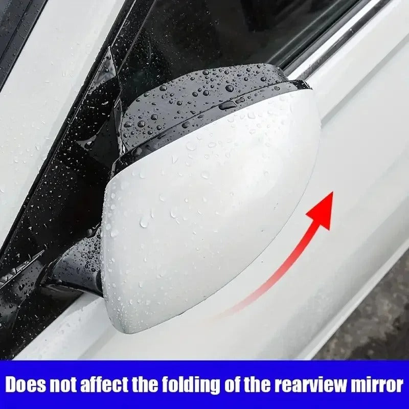 Carbon Mirror Rain Guards