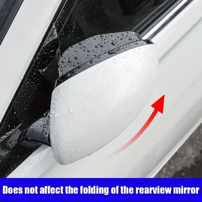 Carbon Mirror Rain Guards